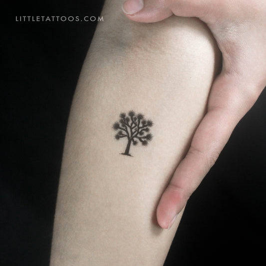 Tatuaje temporal de árbol de Josué - Juego de 3