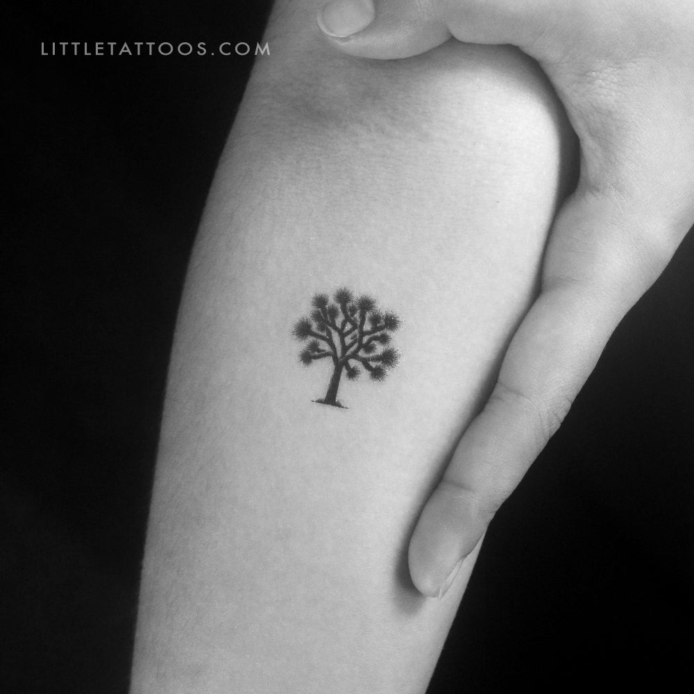 Tatuaje temporal de árbol de Josué - Juego de 3