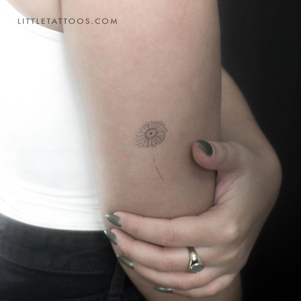 Tatuaje temporal de margarita de línea fina - Juego de 3