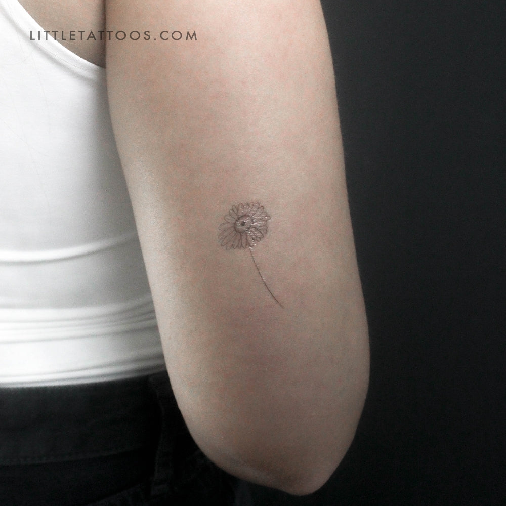 Tatuaje temporal de margarita de línea fina - Juego de 3