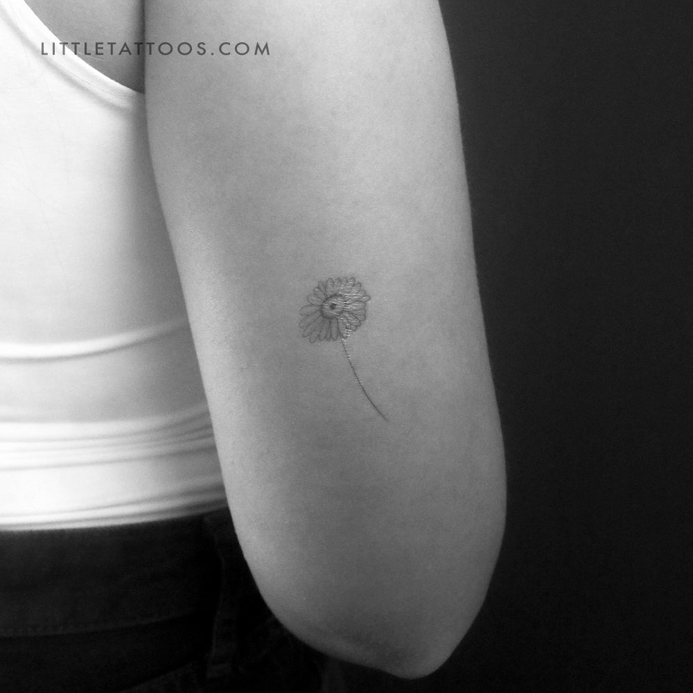 Tatuaje temporal de margarita de línea fina - Juego de 3