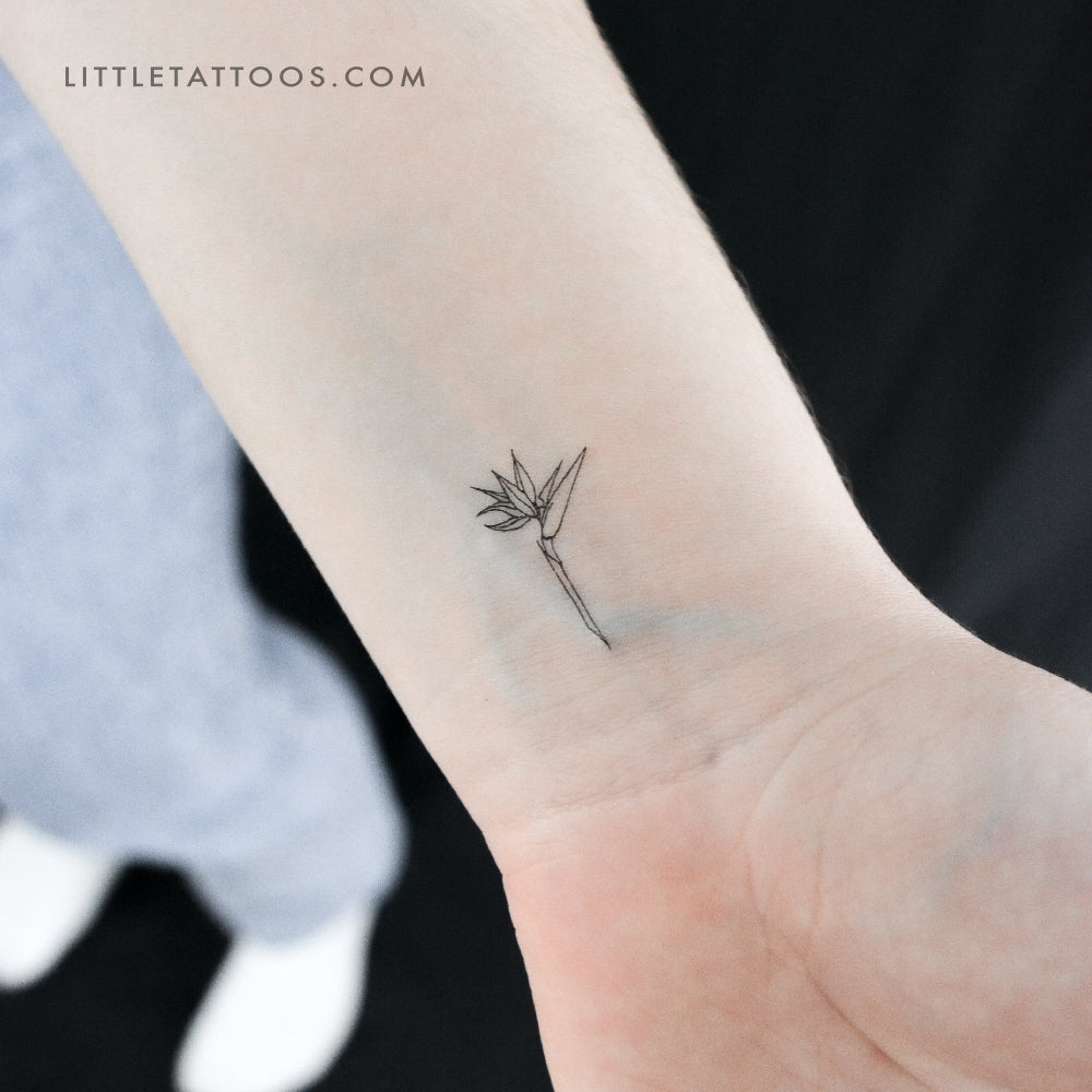 Tatuaje temporal de flor de ave del paraíso - Juego de 3