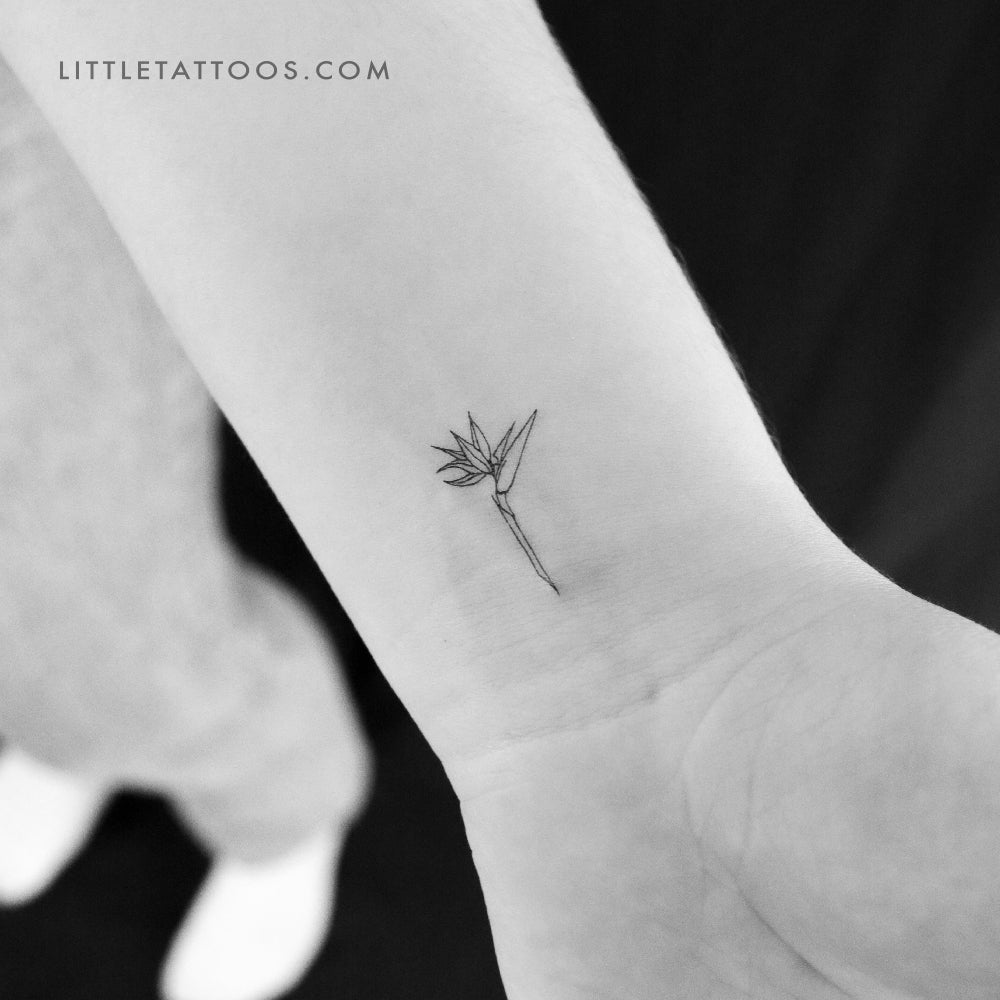 Tatuaje temporal de flor de ave del paraíso - Juego de 3