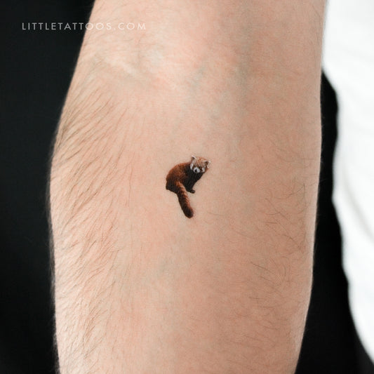 Red Panda Temporary Tattoo - Set of 3