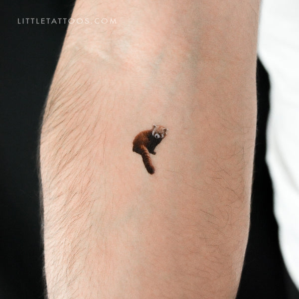 Red Panda Temporary Tattoo - Set of 3