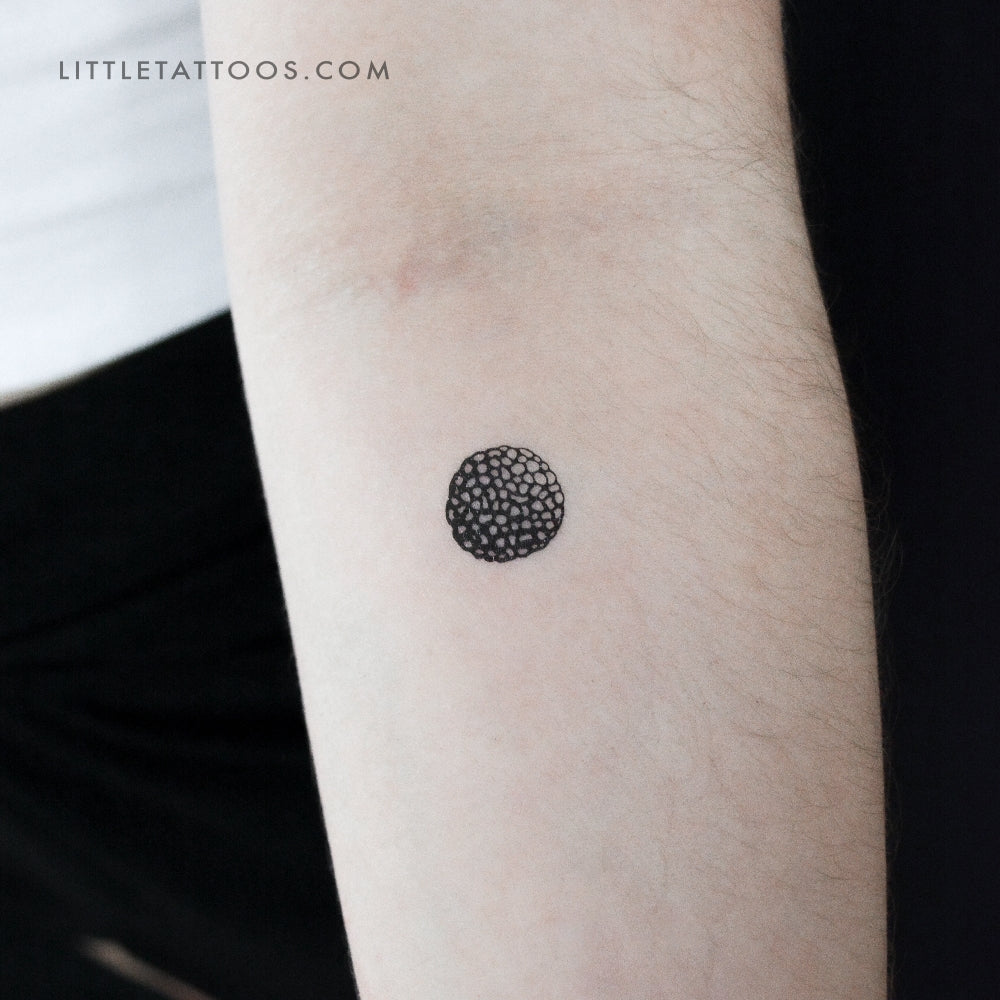 Truffle Temporary Tattoo - Set of 3