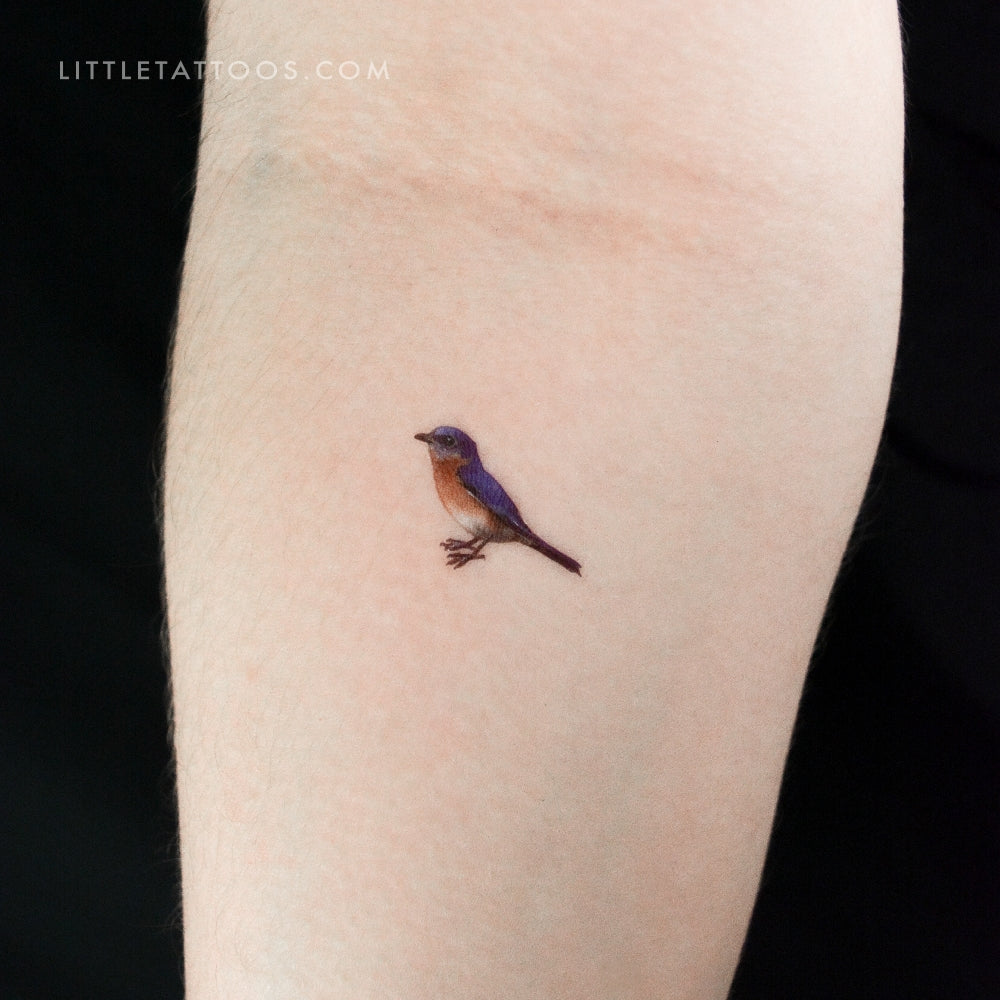 Eastern Bluebird Temporary Tattoo - Set of 3