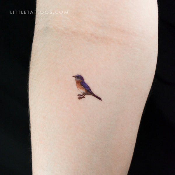 Eastern Bluebird Temporary Tattoo - Set of 3