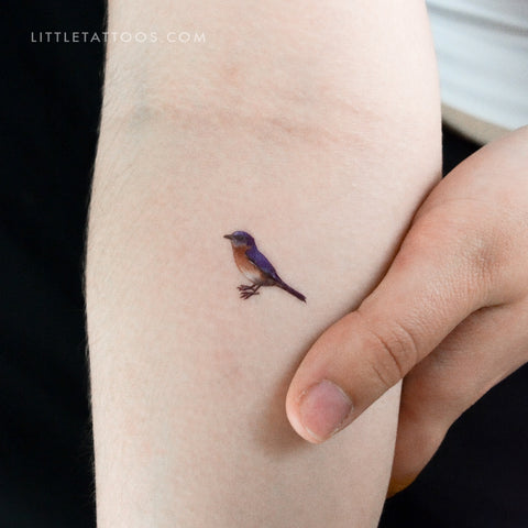 Eastern Bluebird Temporary Tattoo - Set of 3