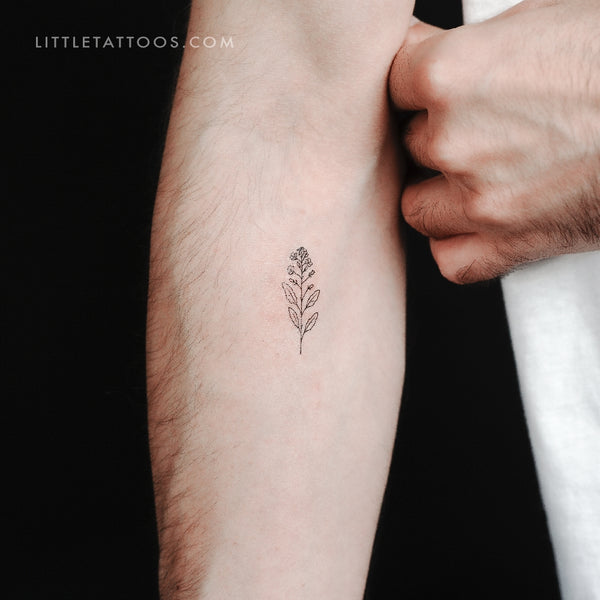 Mustard Plant Temporary Tattoo - Set of 3