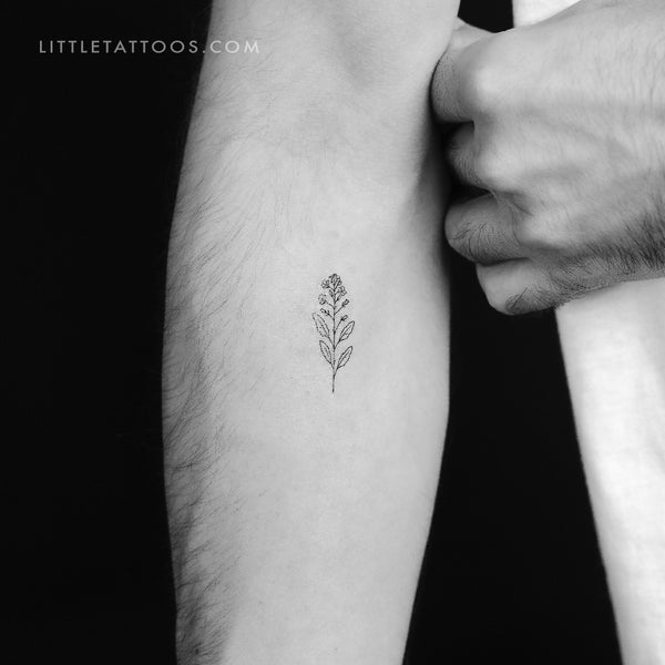 Mustard Plant Temporary Tattoo - Set of 3