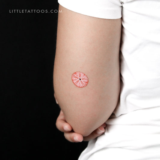 Red Sea Urchin Shell Temporary Tattoo - Set of 3