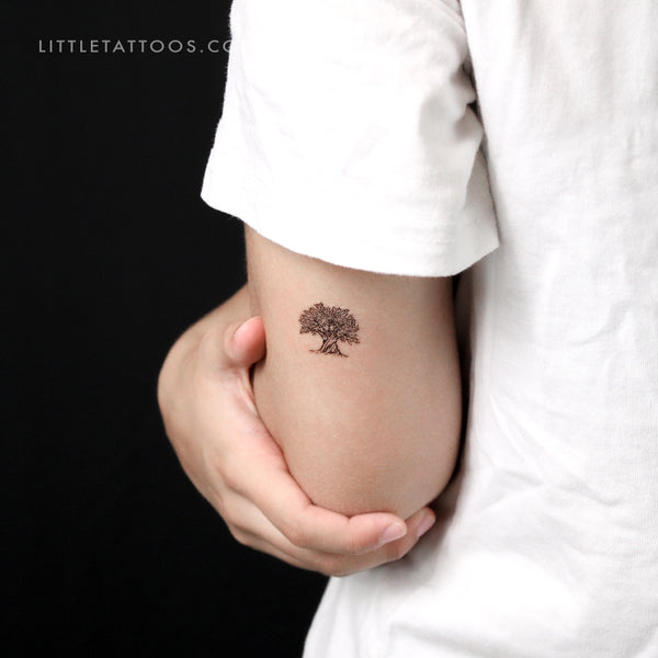 Olive Tree Temporary Tattoo - Set of 3
