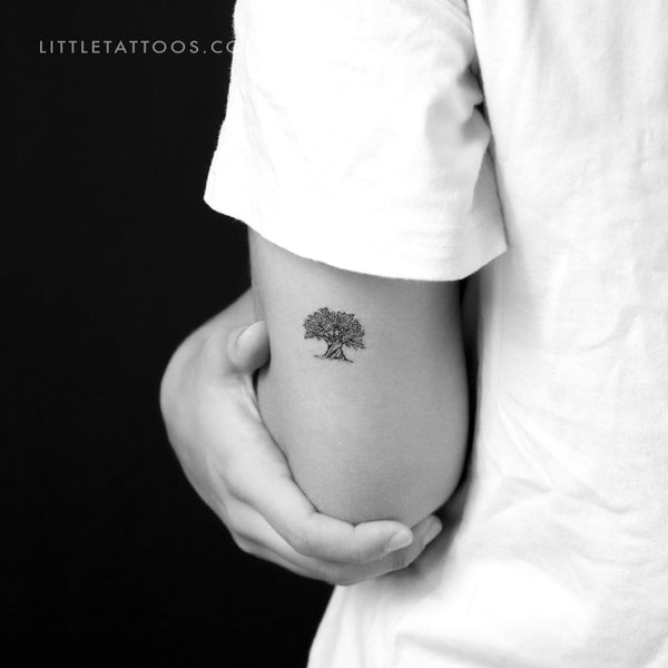 Olive Tree Temporary Tattoo - Set of 3