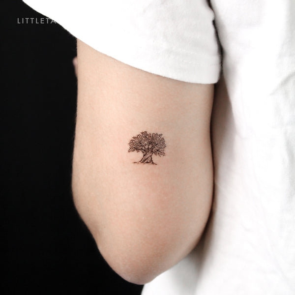 Olive Tree Temporary Tattoo - Set of 3