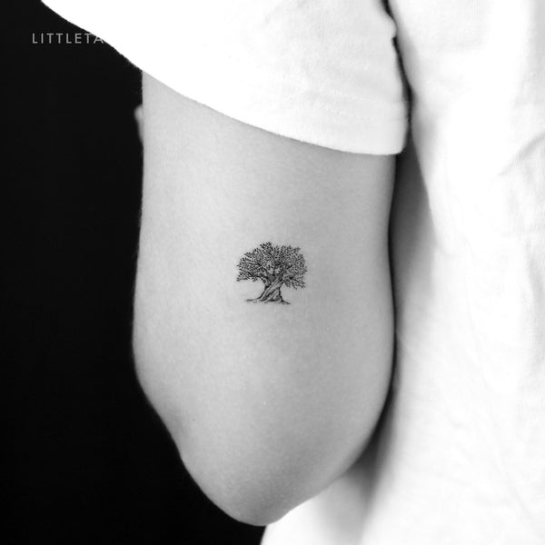 Olive Tree Temporary Tattoo - Set of 3