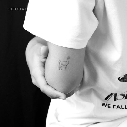Tatuaje temporal de llama - Juego de 3