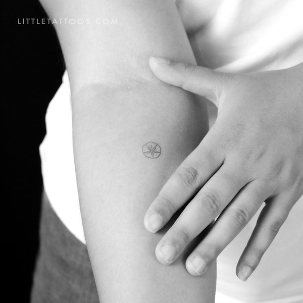 Tiny Sand Dollar Temporary Tattoo - Set of 3