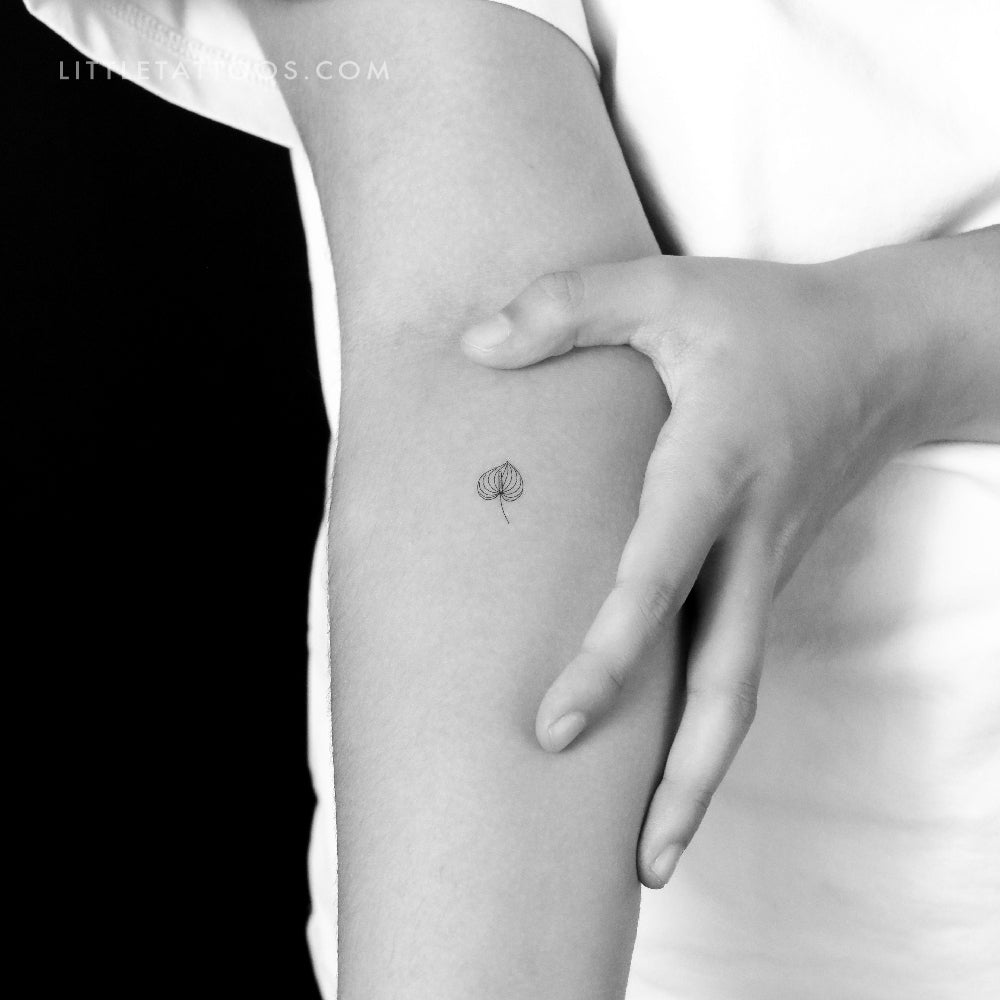 Tatuaje temporal de anturio pequeño - Juego de 3