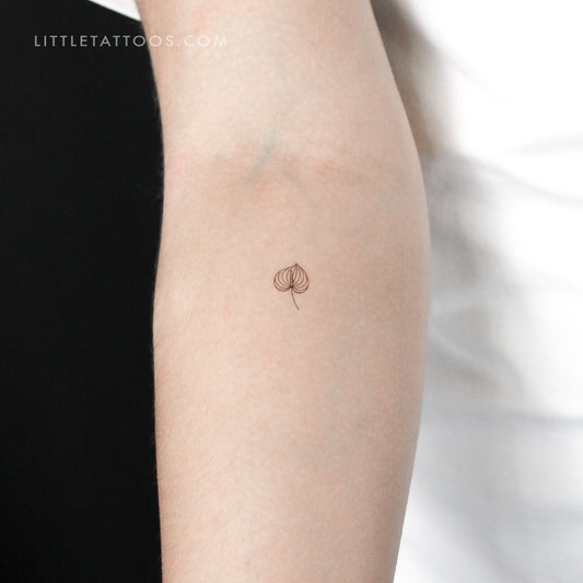 Tatuaje temporal de anturio pequeño - Juego de 3