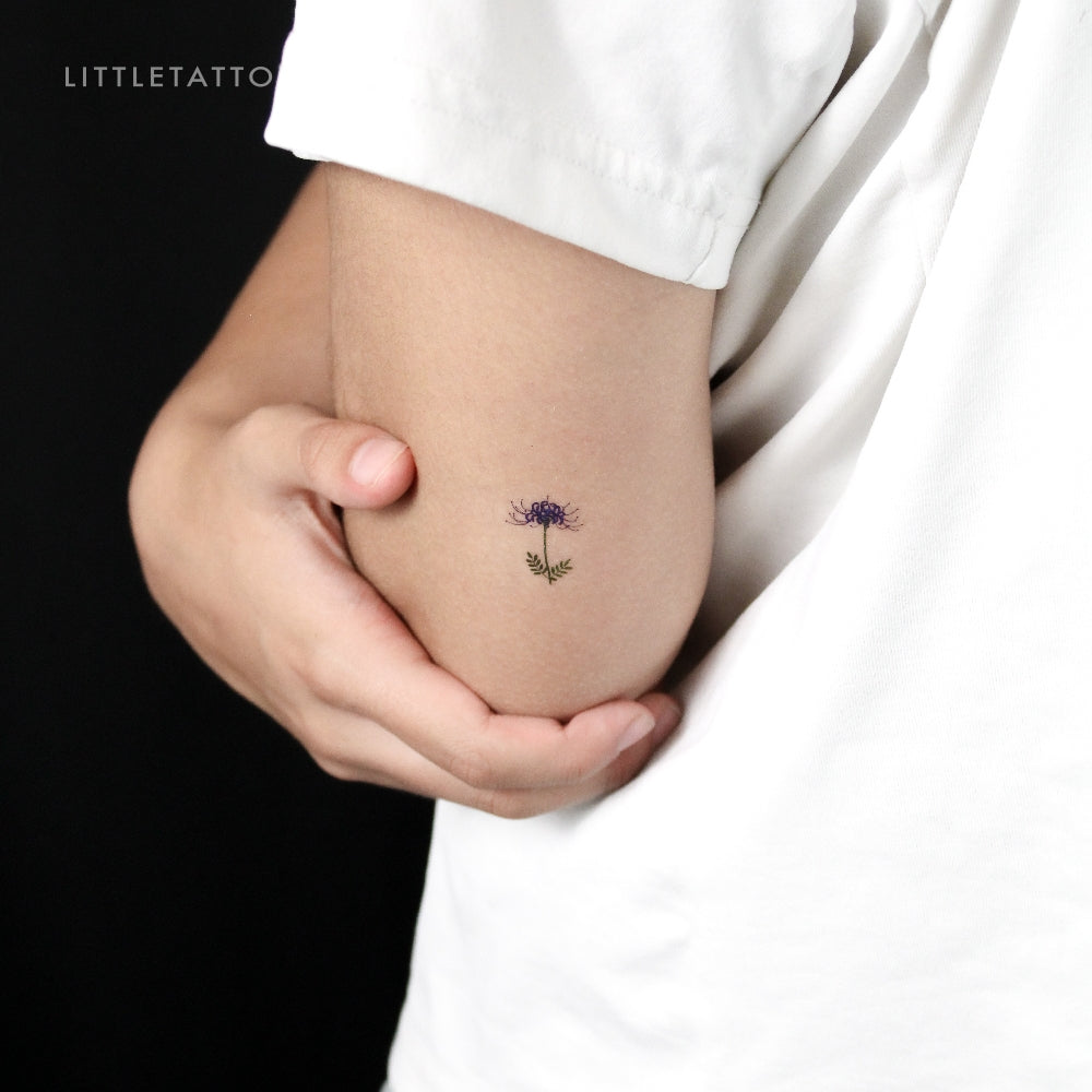 Tatuaje temporal de lirio araña azul - Juego de 3