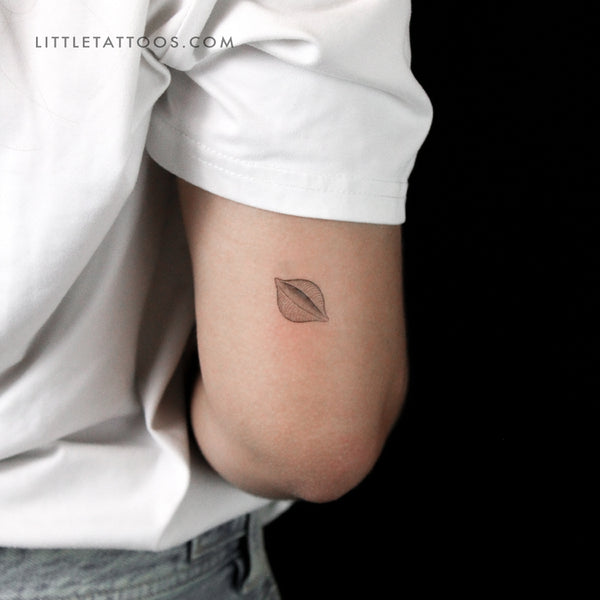 Conchiglie Pasta Temporary Tattoo - Set of 3