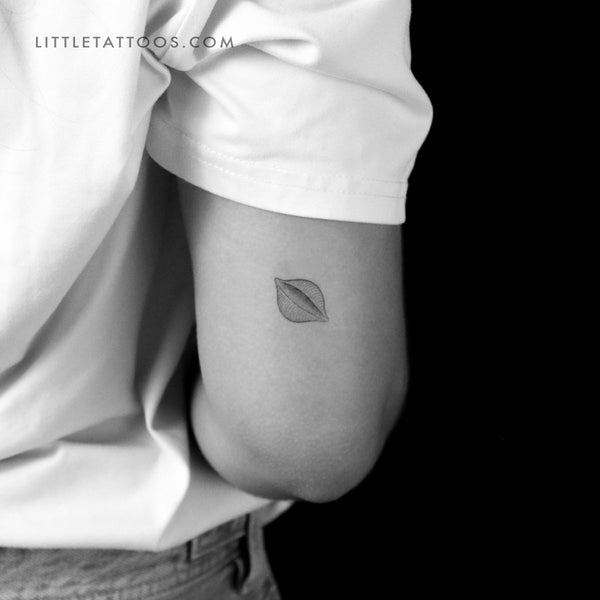 Conchiglie Pasta Temporary Tattoo - Set of 3