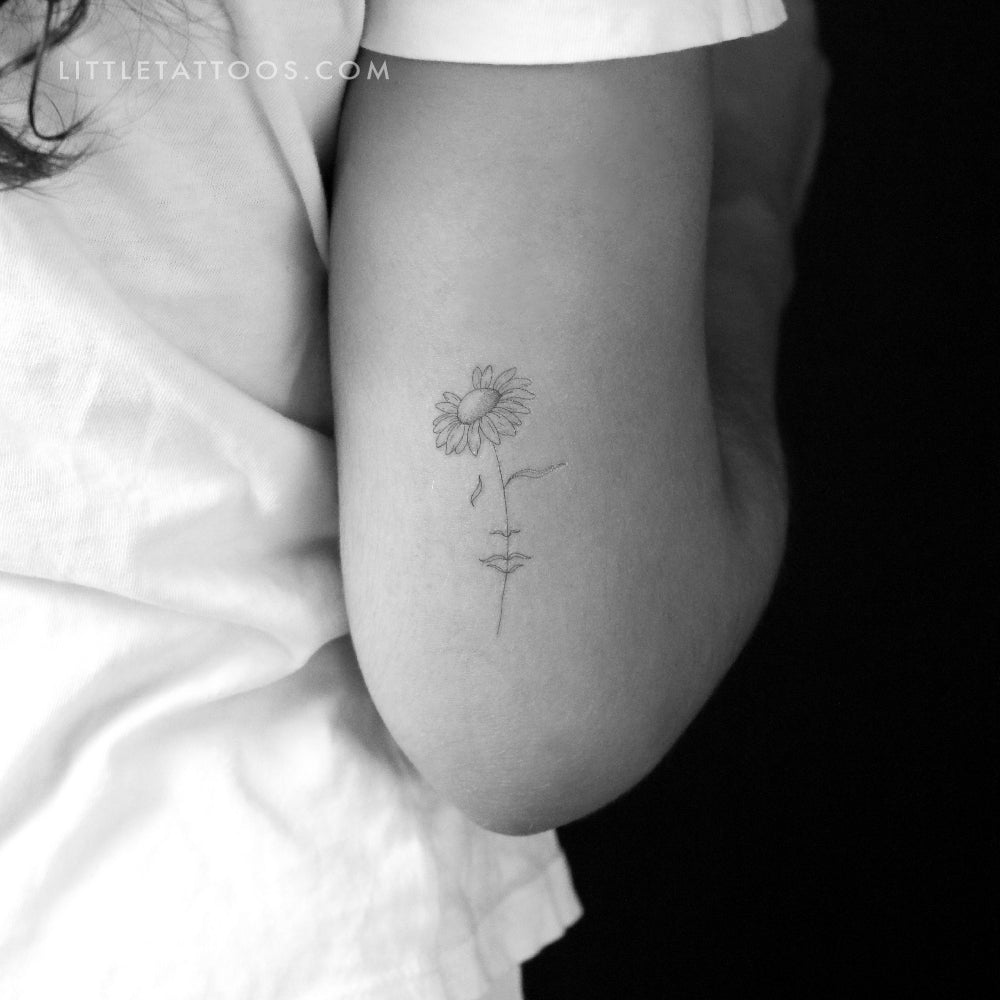Tatuaje temporal "Una margarita soñadora" de Jakenowicz - Juego de 3