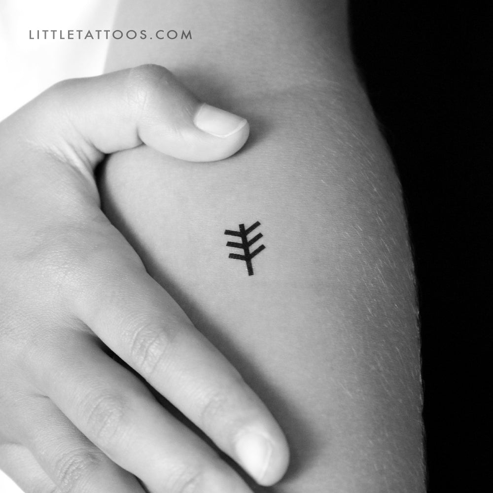 Tatuaje temporal del símbolo de Beltane - Juego de 3