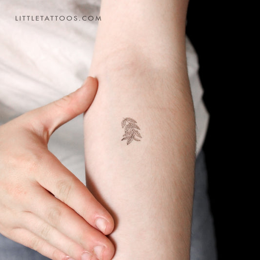 Tatuaje temporal de planta de café - Juego de 3