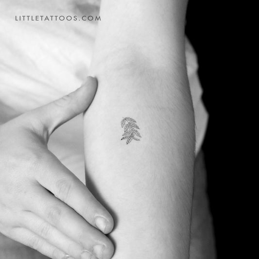 Tatuaje temporal de planta de café - Juego de 3