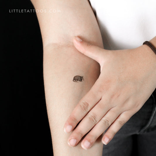 Tatuaje temporal de armadillo - Juego de 3