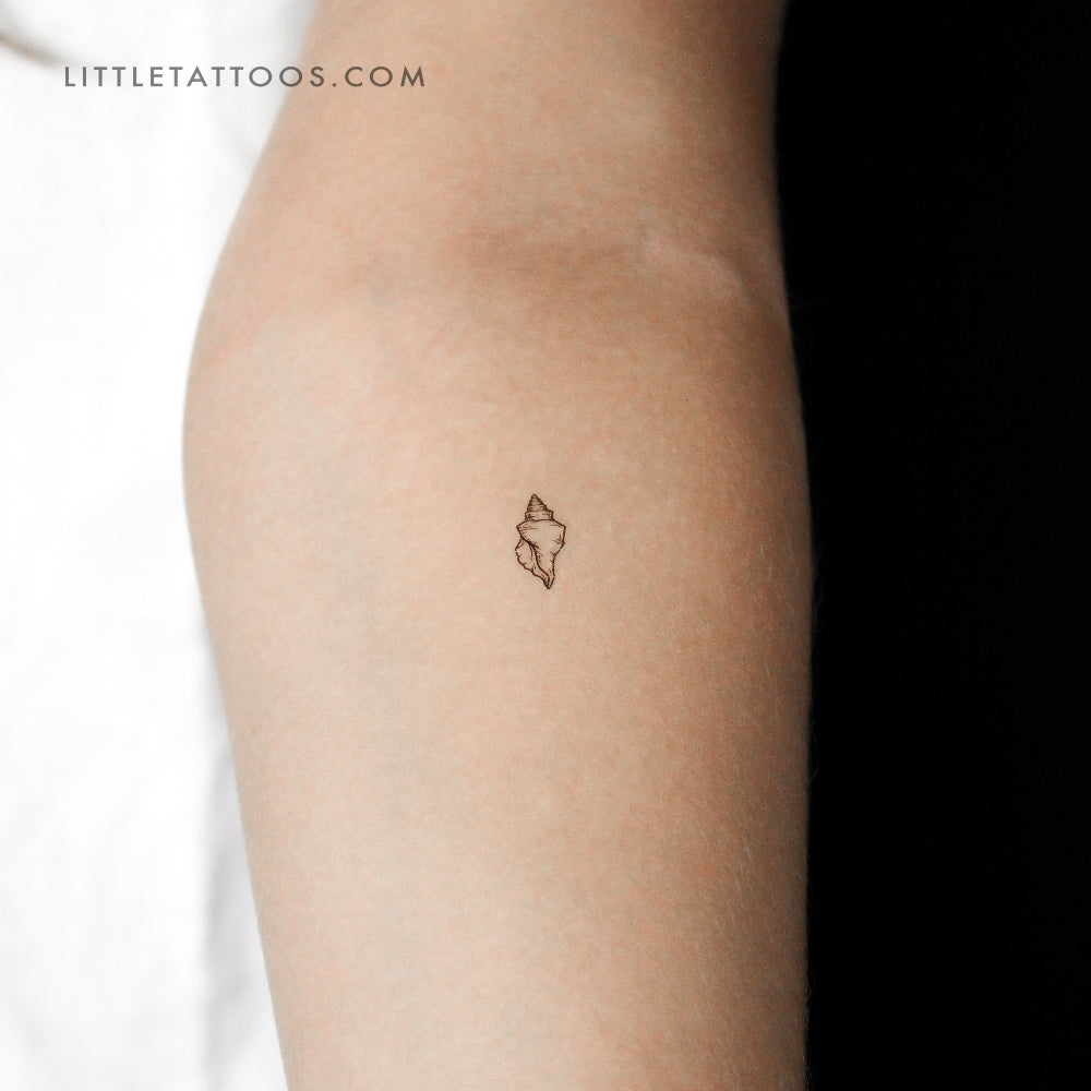 Little Tulip Shell Temporary Tattoo - Set of 3