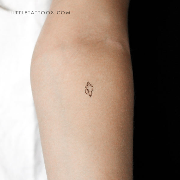 Little Tulip Shell Temporary Tattoo - Set of 3