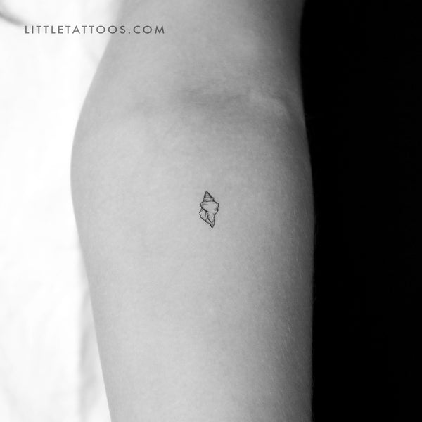 Little Tulip Shell Temporary Tattoo - Set of 3