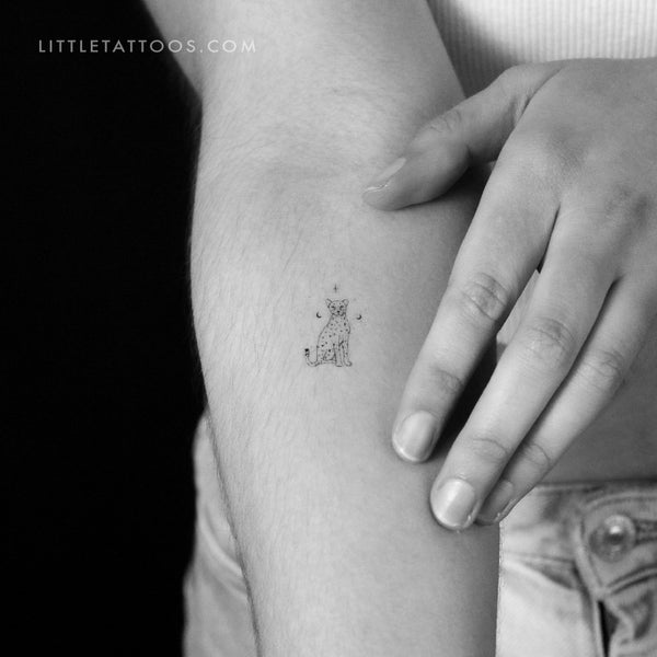 Little Cheetah By Stefano Mazza Temporary Tattoo - Set of 3