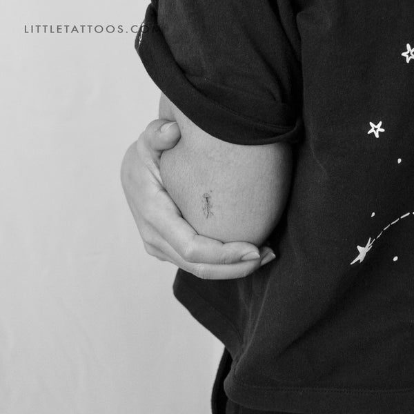 Little Jellyfish Temporary Tattoo By Stefano Mazza - Set of 3