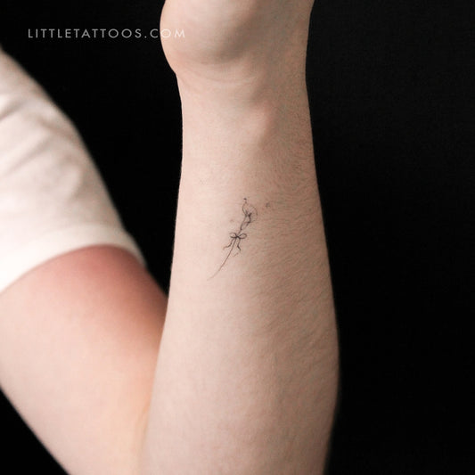Calla Lily By Stefano Mazza Temporary Tattoo - Set of 3