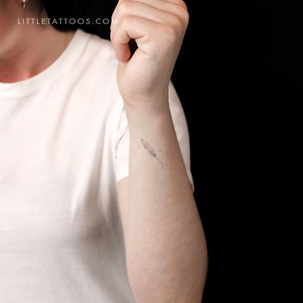 Feather By Stefano Mazza Temporary Tattoo - Set of 3