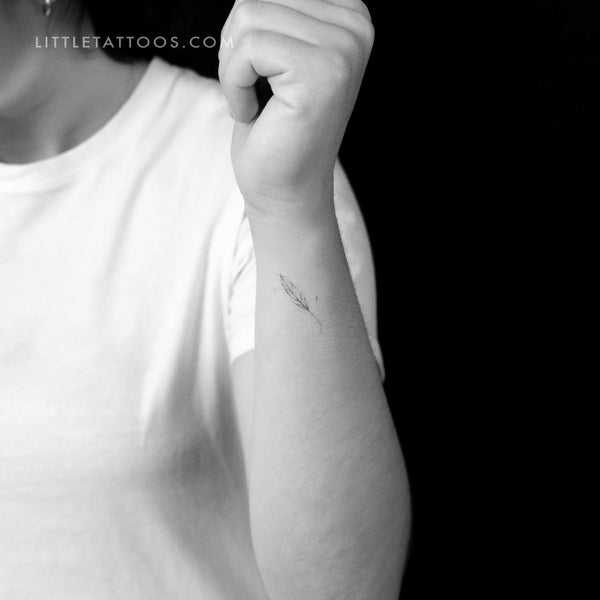 Feather By Stefano Mazza Temporary Tattoo - Set of 3