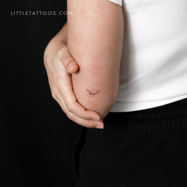 Little Whale By Stefano Mazza Temporary Tattoo - Set of 3