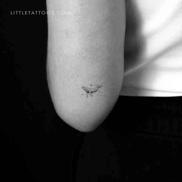Little Whale By Stefano Mazza Temporary Tattoo - Set of 3