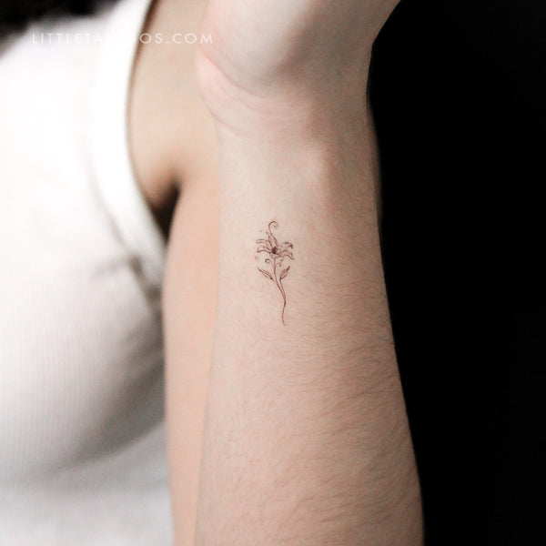 Lily Stargazer By Stefano Mazza Temporary Tattoo - Set of 3
