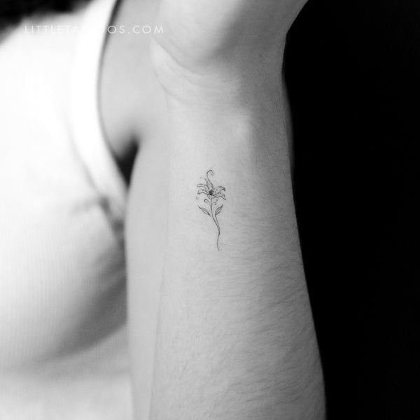 Lily Stargazer By Stefano Mazza Temporary Tattoo - Set of 3