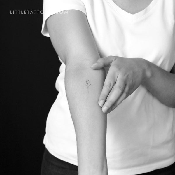 Rose By Stefano Mazza Temporary Tattoo - Set of 3