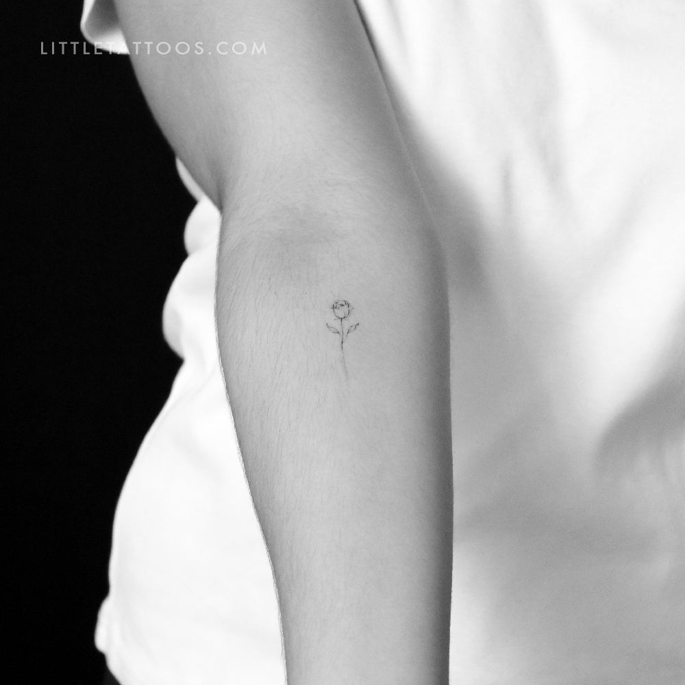 Rose By Stefano Mazza Temporary Tattoo - Set of 3