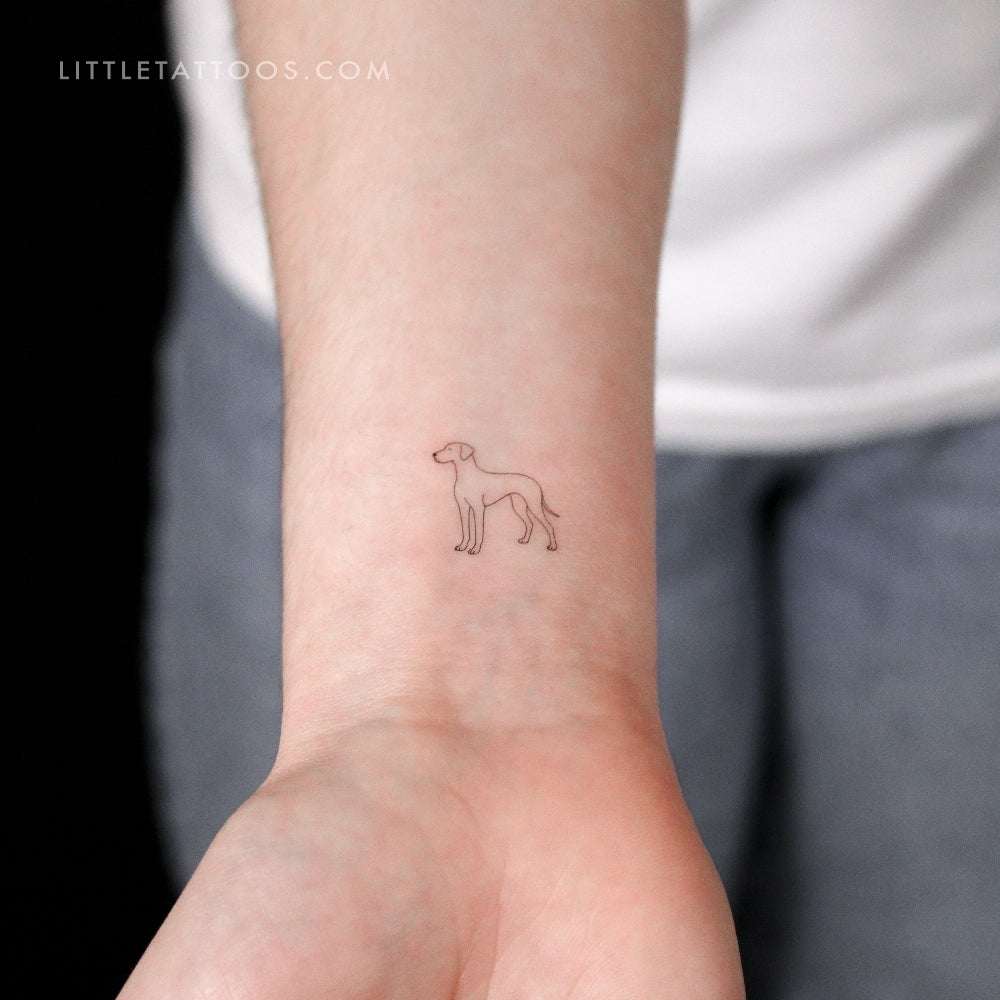 Great Dane Temporary Tattoo - Set of 3