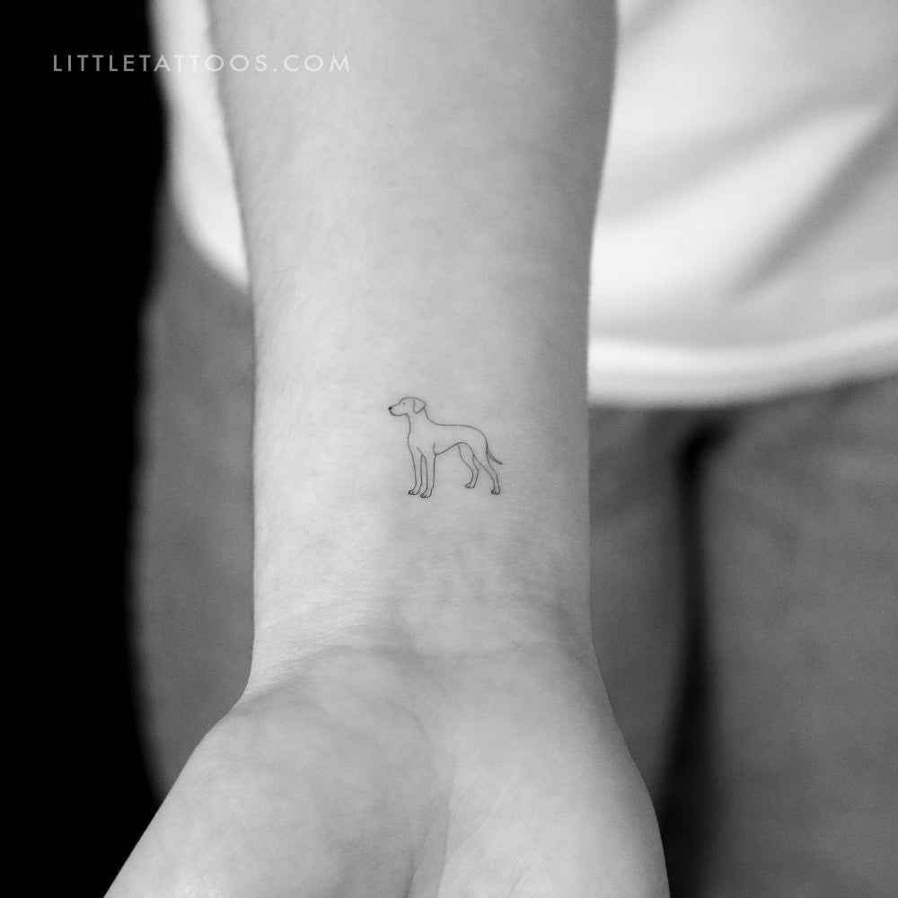 Great Dane Temporary Tattoo - Set of 3