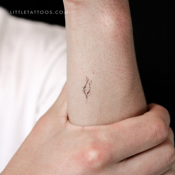 Tulip Shell By Stefano Mazza Temporary Tattoo - Set of 3