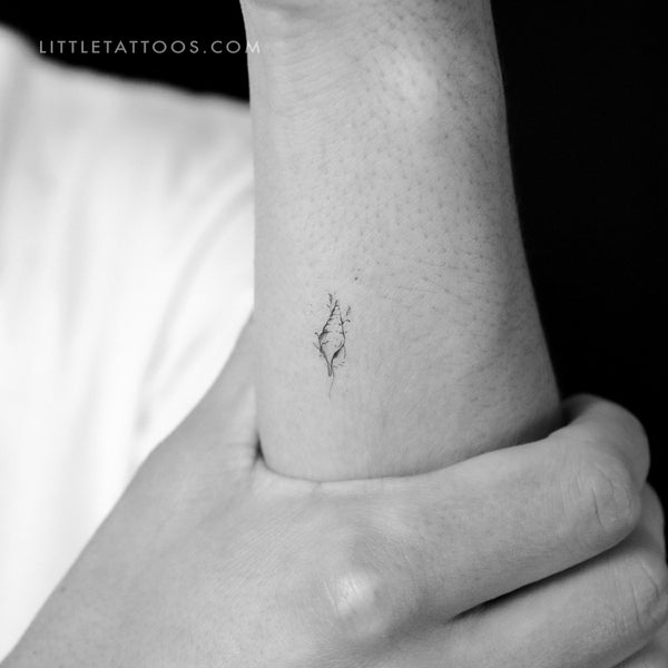 Tulip Shell By Stefano Mazza Temporary Tattoo - Set of 3